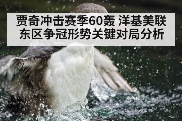 贾奇冲击赛季60轰 洋基美联东区争冠形势关键对局分析